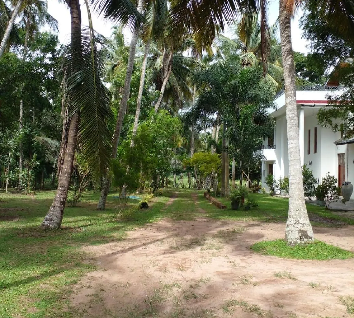 The Escape, Minuwangoda
