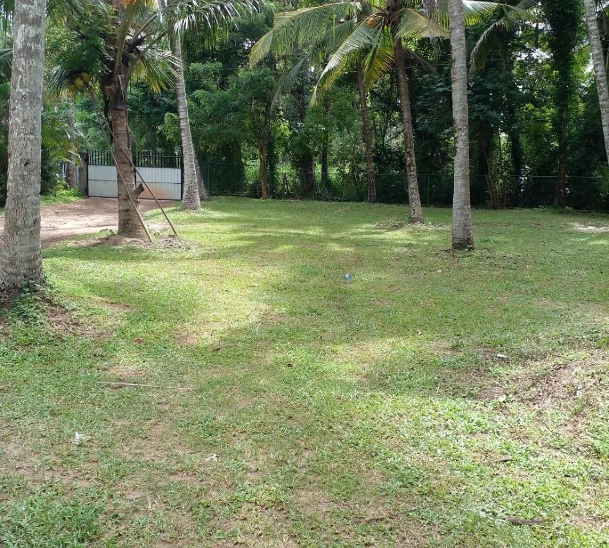 Guest house The Escape, Minuwangoda Sri Lanka
